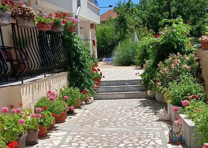 ,,Дироси"