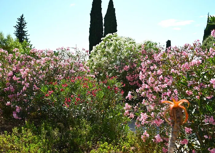 Les Jardins de Bormes, hôtel adult only avec piscine, jacuzzi et sauna