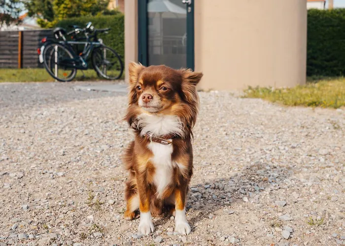 Slube Am Stadthafen Neustrelitz
