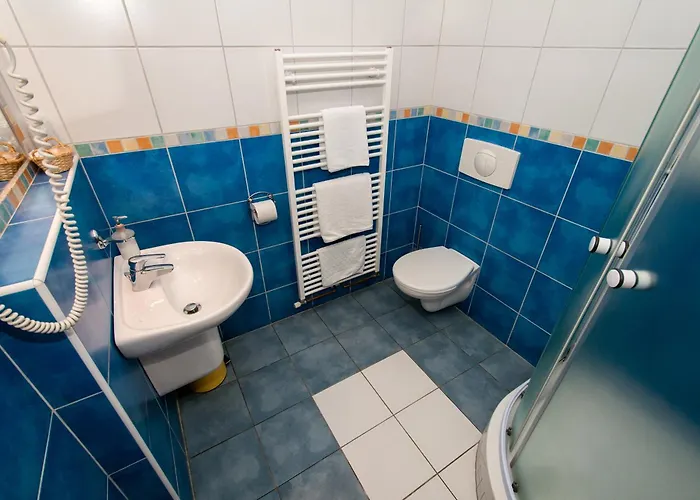 Hotel Merica Bor