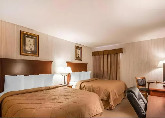 Quality Inn & Conference Centre Red Deer - 50Th Avenue