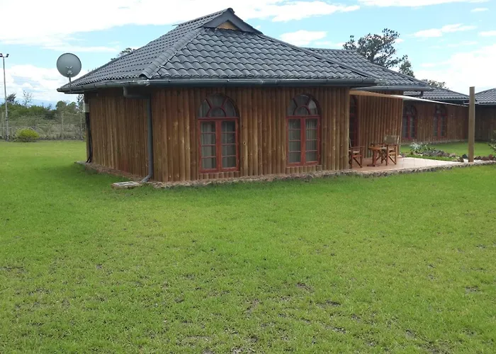The Nelion