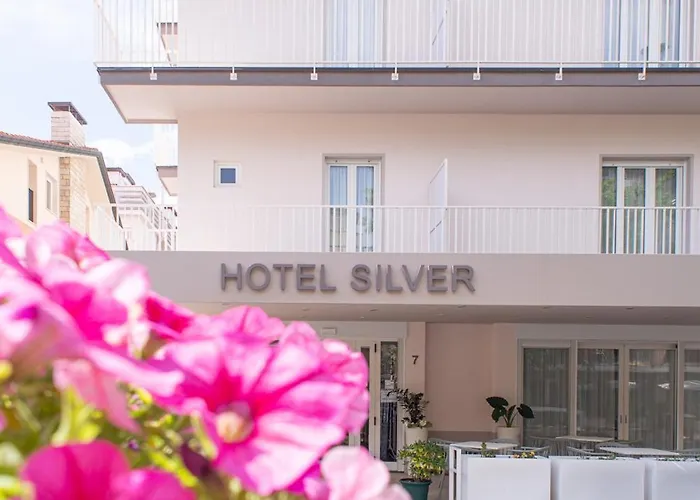 Hotel Silver