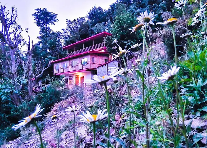 Hotel Chakrata Green And Camping