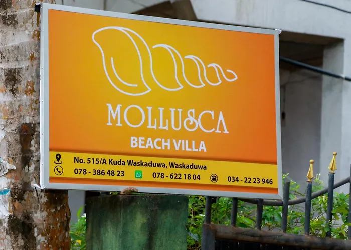 Mollusca Beach Villa