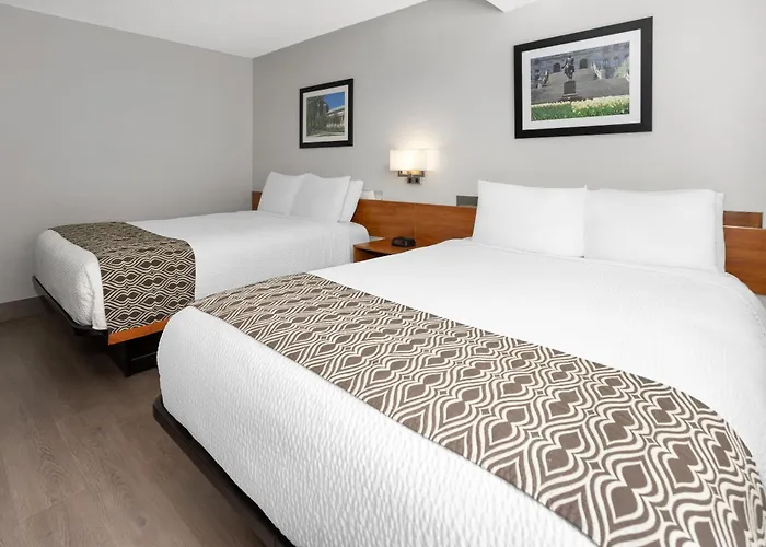 Microtel Inn By Wyndham - Albany Airport