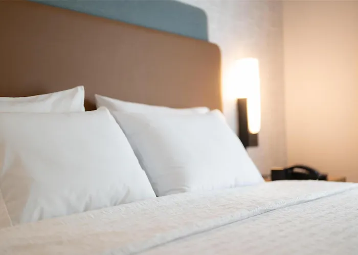 Hampton Inn And Suites La Crosse Downtown