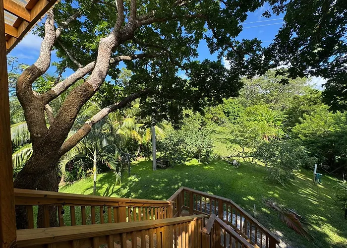 Guava Grove Resort & Villas