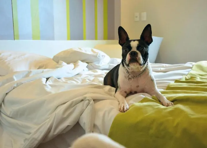 Dmax Hotel