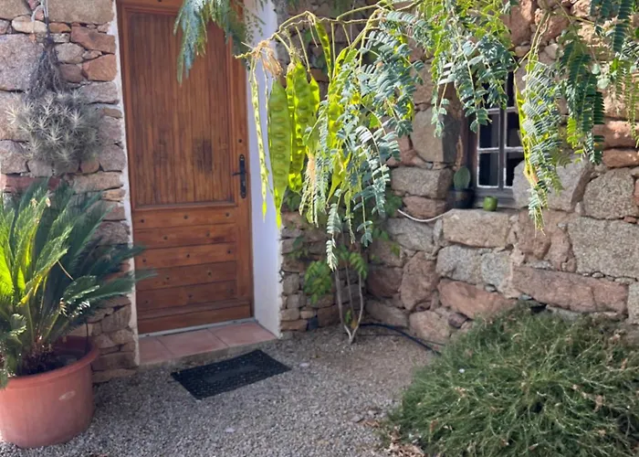 Caseddu Di Chjarastella Figari 
