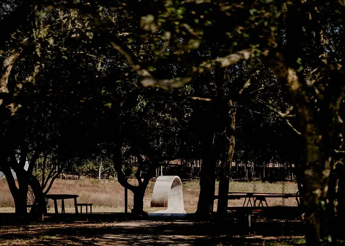 Muma Hotel - Museo De La Madera