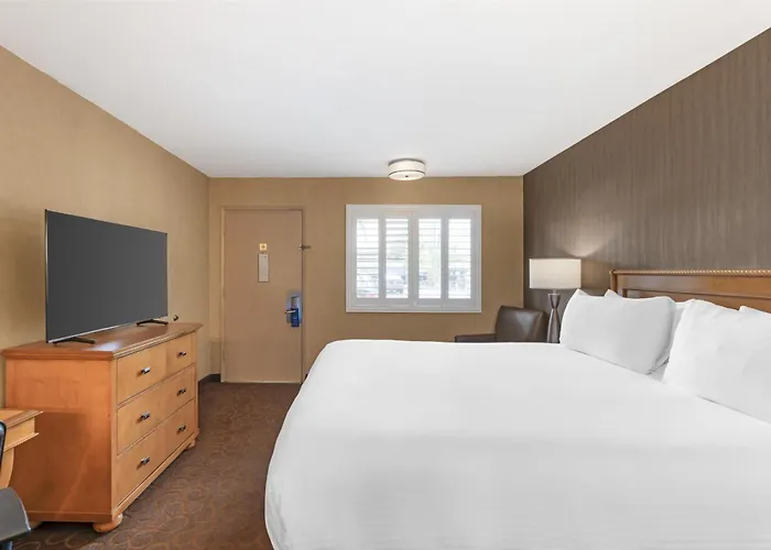 Best Western Plus Pavilions