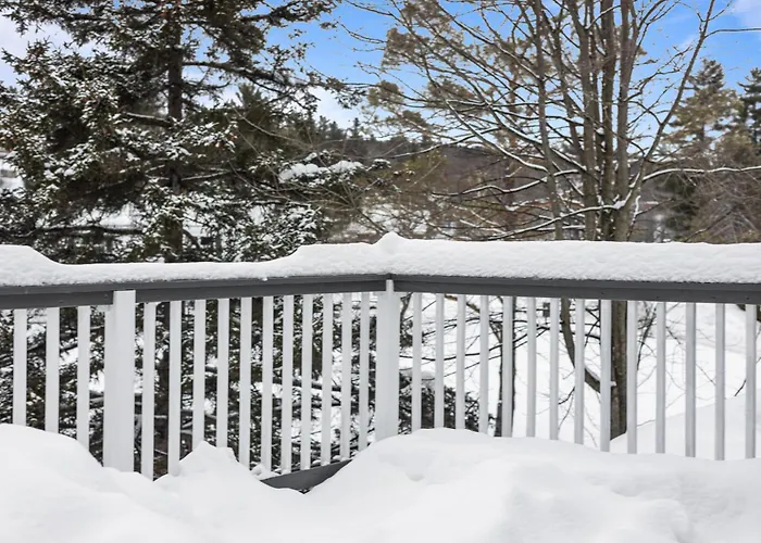 Stowe Motel & Snowdrift