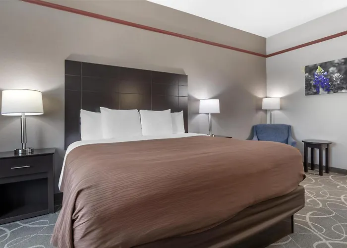 Best Western Limestone Inn And Suites