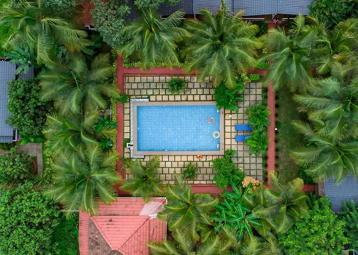 White Truffle Resort, Arambol