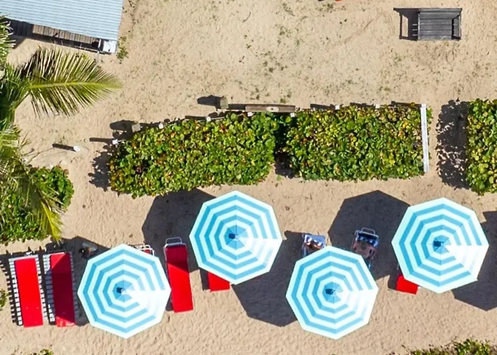 Conch Beach Cabins