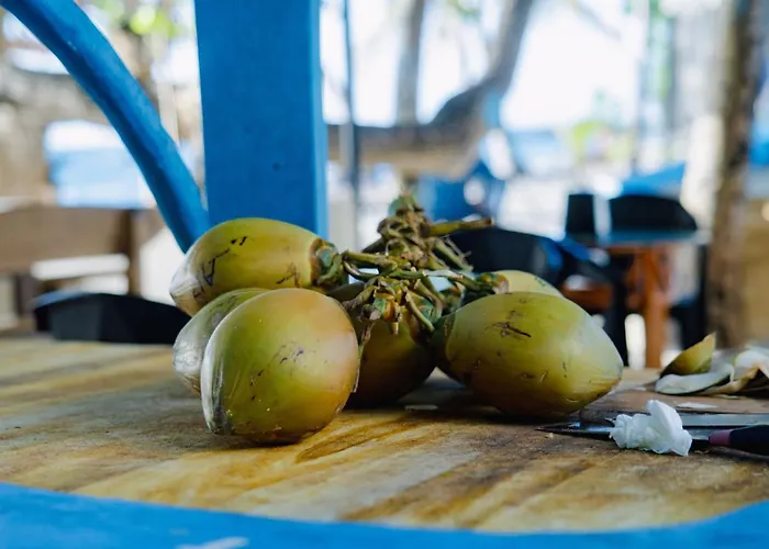 Velaavani - Turtle Hive Dhiffushi