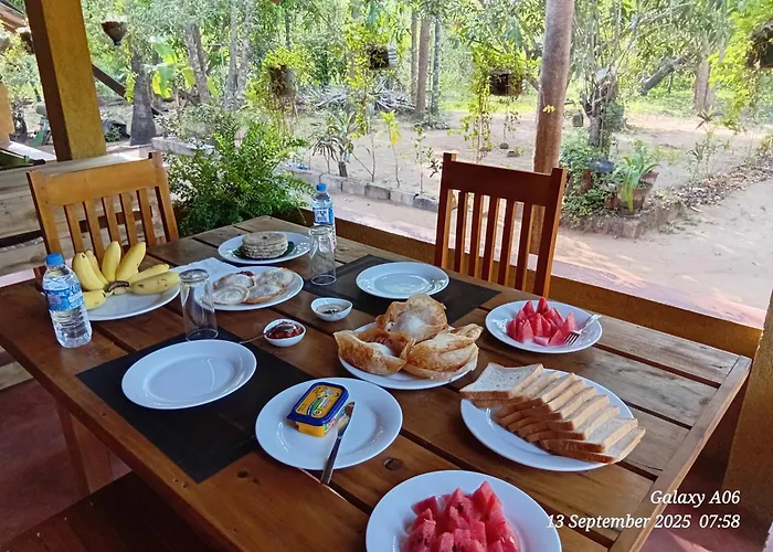 The Mango Garden