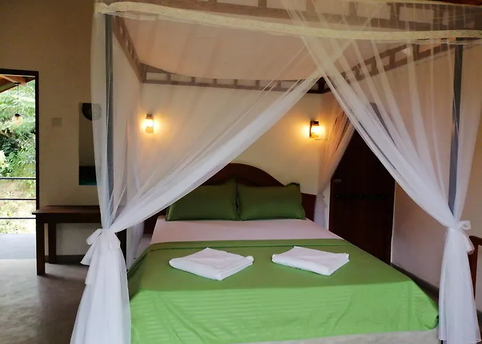 Sunshine Forest Lodge - Sinharaja