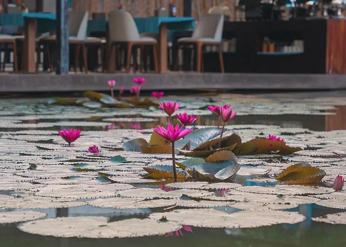 Villa Oasis