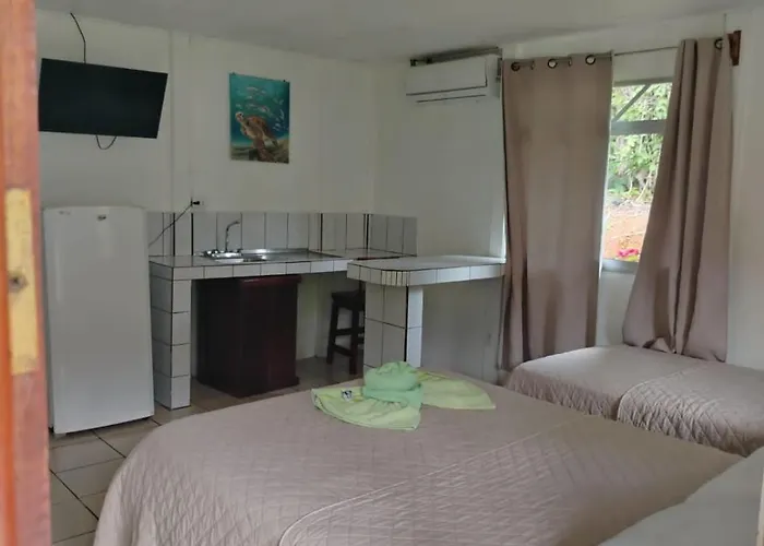 Cabinas Hidalgo