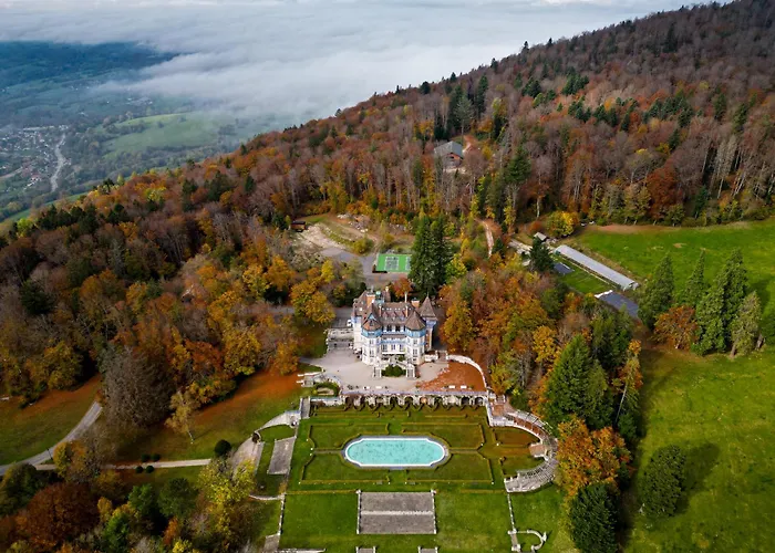 Chateau Des Avenieres