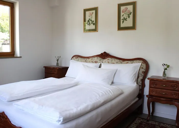 Hotel Viktoria Meersburg