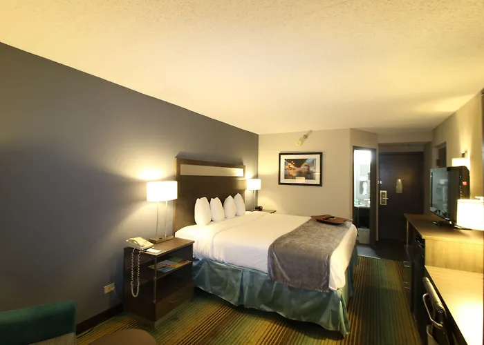 Best Western O'Hare/Elk Grove Hotel