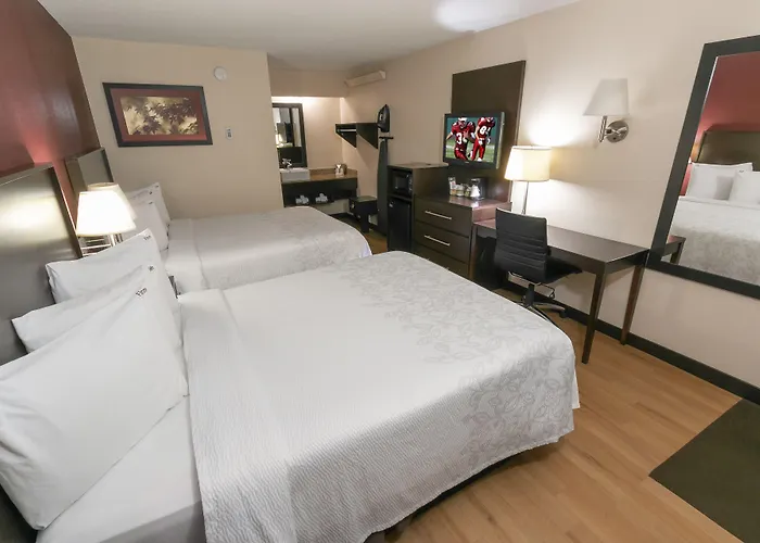 Red Roof Inn Plus+ University At Buffalo - Amherst