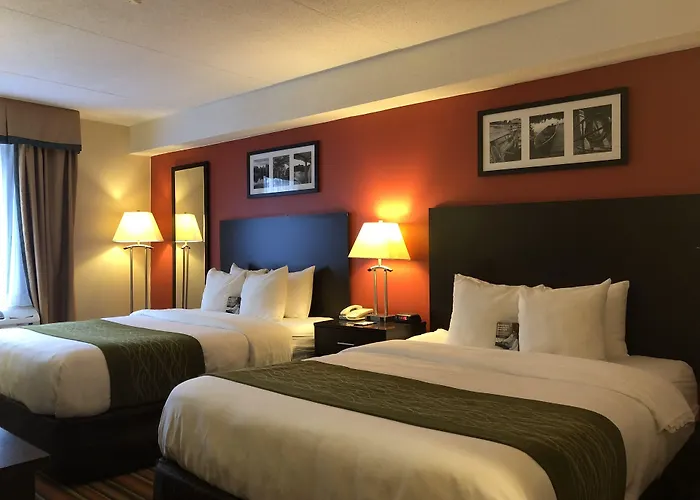 Comfort Hotel & Suites