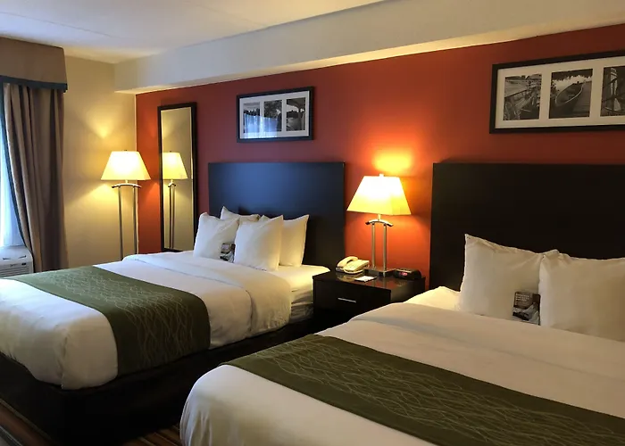 Comfort Hotel & Suites