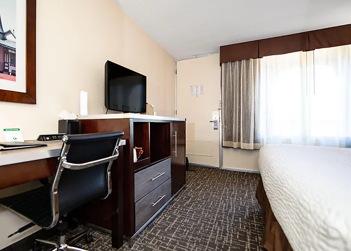 New Hope Inn & Suites
