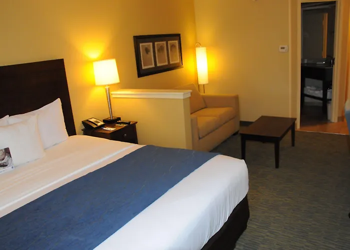 Comfort Inn & Suites Newark - Wilmington