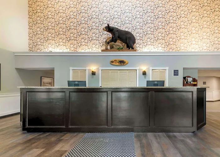 Black Bear Inn, An Ascend Collection Hotel