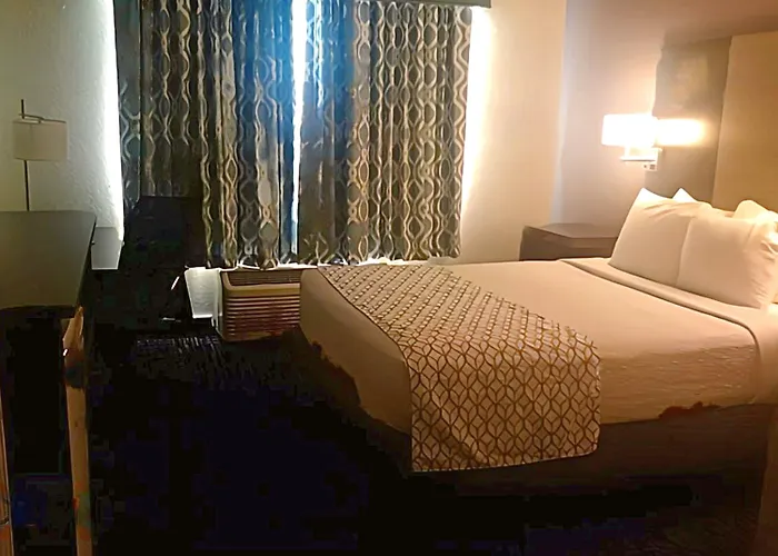 Best Western Fort Myers Inn And Suites