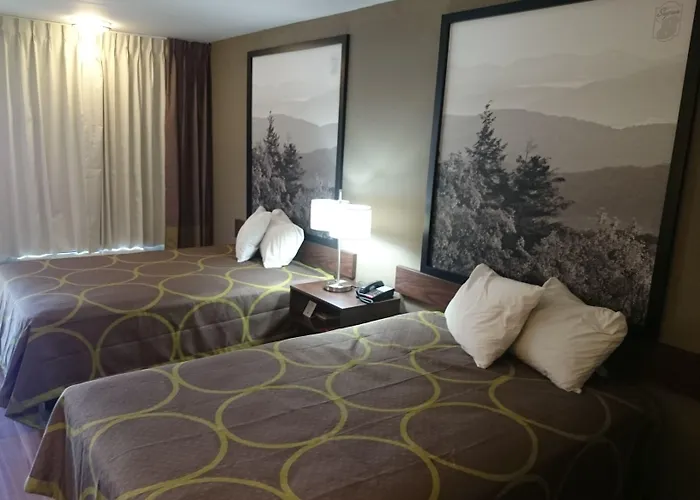 Super 8 By Wyndham Asheville Airport