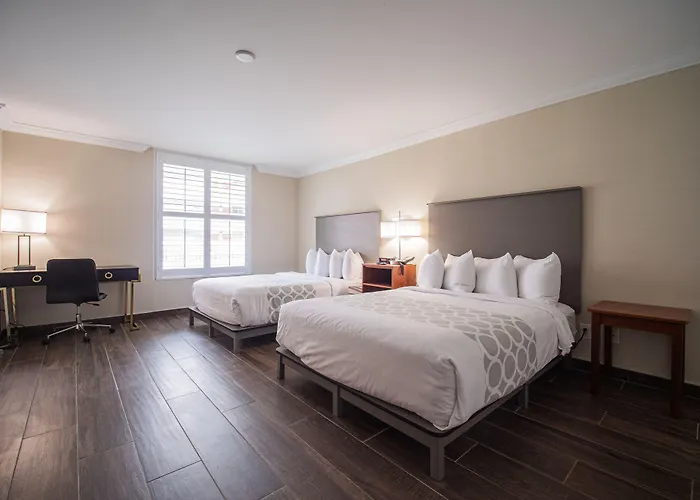 Equus Inn I75