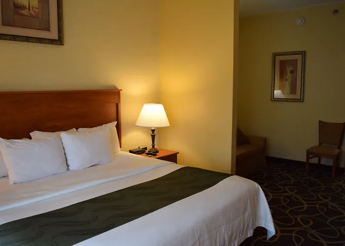 Quality Hotel & Suites At The Falls