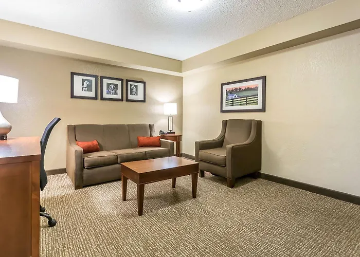 Comfort Inn&Suites Lexington - Hamburg I-75