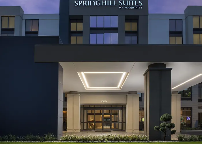 Springhill Suites By Marriott Atlanta Perimeter Center