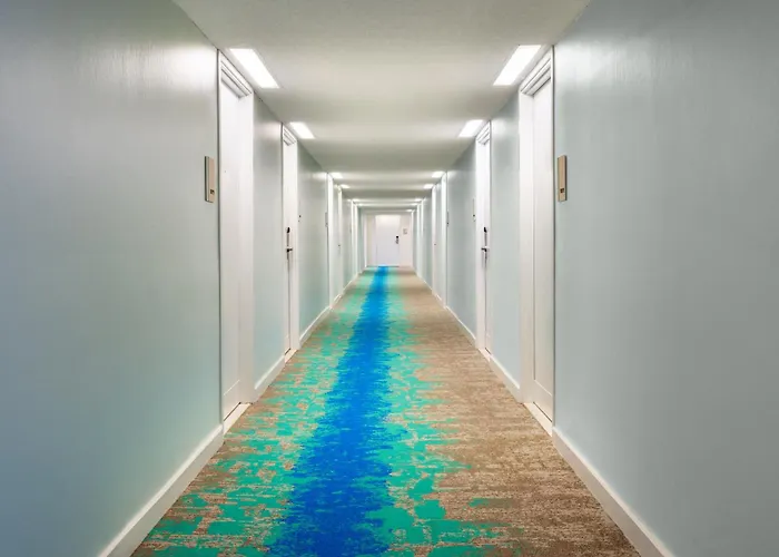 The Twin Fin Hotel