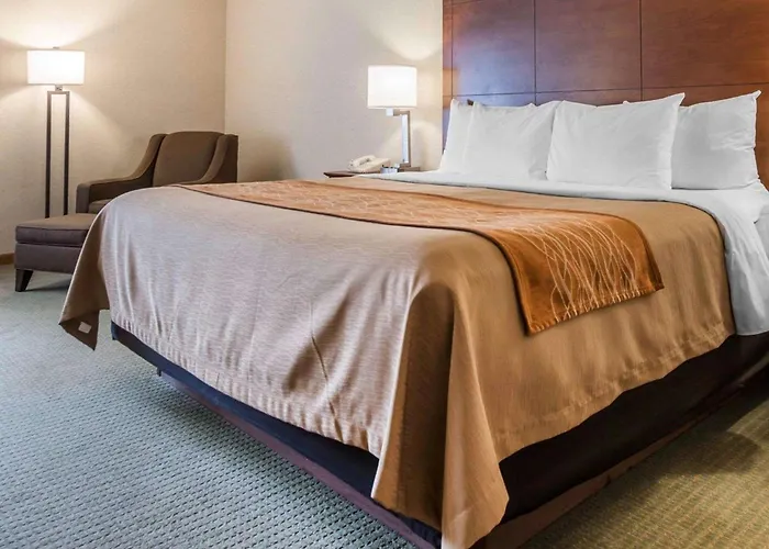 Comfort Inn Salida