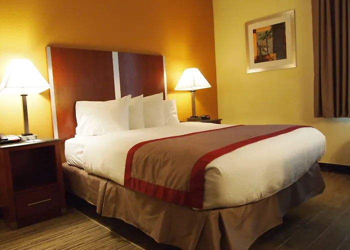 Best Western Ft Lauderdale I-95 Inn