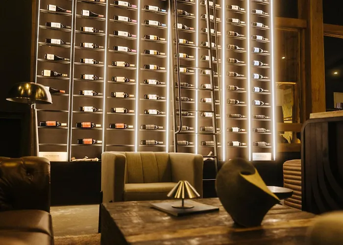 Hotel Lago Grey