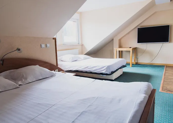 Hotel Du Donon