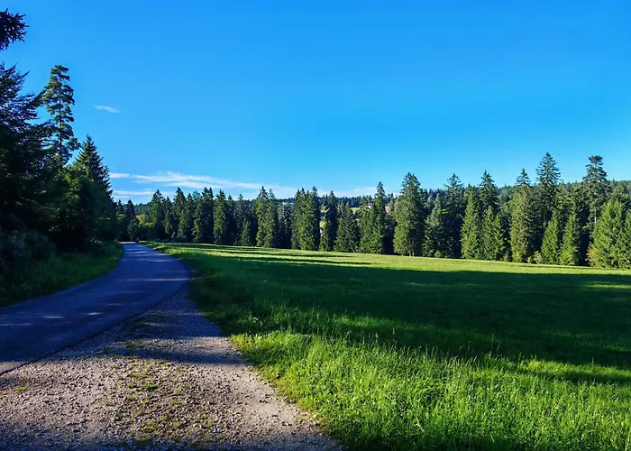 Gasthof "Zum Steinwald"