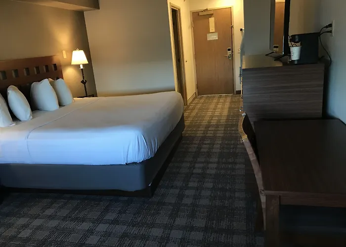 Best Western North I-25 Hotel