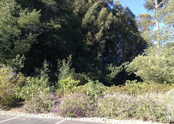 The Inn At Pasatiempo Santa Cruz