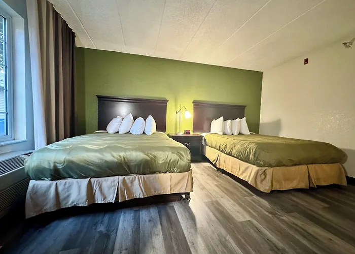 Quality Inn & Suites Alexandria