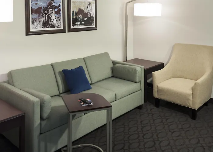 Springhill Suites By Marriott Dallas Downtown / West End